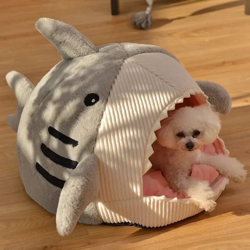SharkPet 
