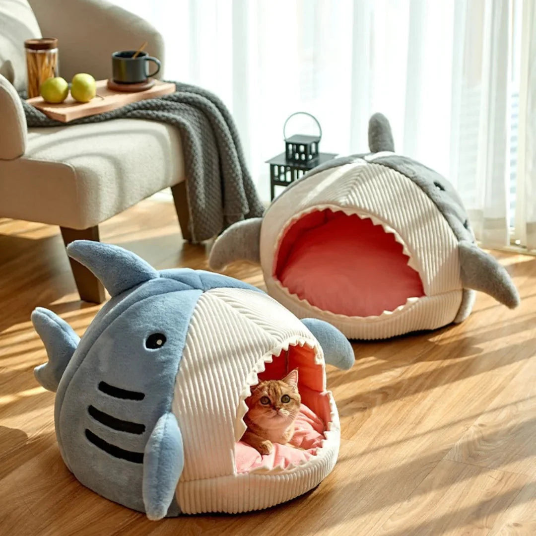 SharkPet 