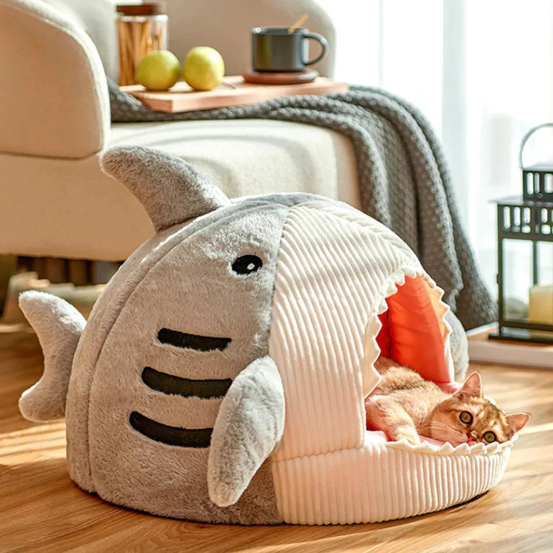SharkPet 
