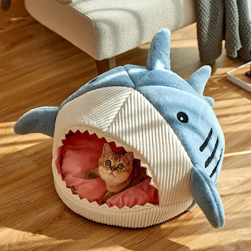 SharkPet 